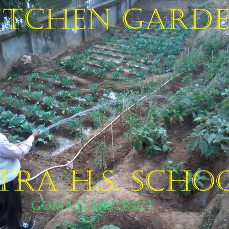 Image of Kitchen Garden II