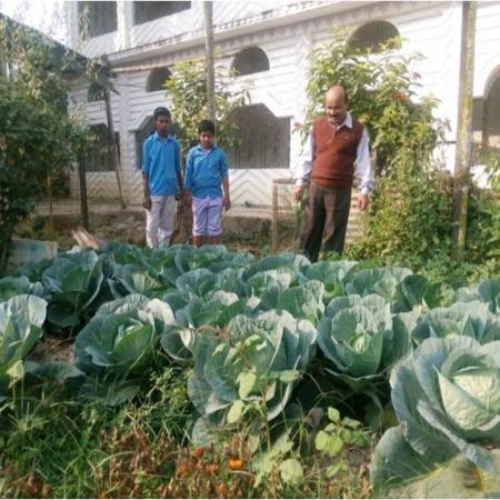 Image of Kitchen Garden I