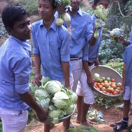 Image of Kitchen Garden III